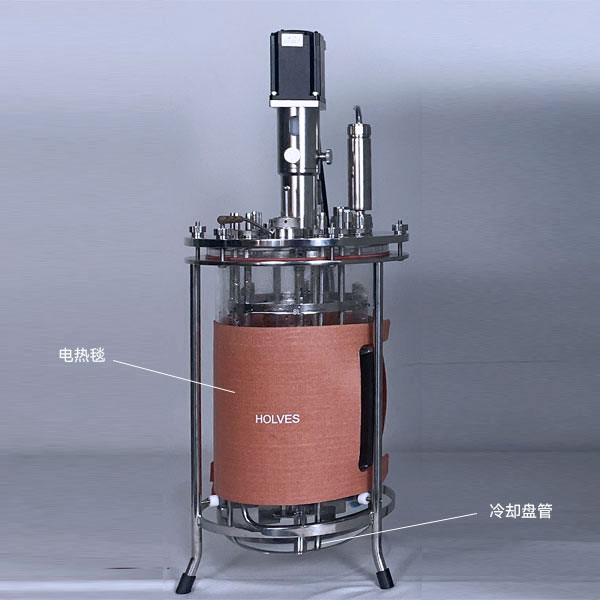 天天5G天天爽入口(HOLVES)實驗5G影院天天爽成人免费下载 天天5G天天爽入口(HOLVES)實驗5G影院天天爽成人免费下载